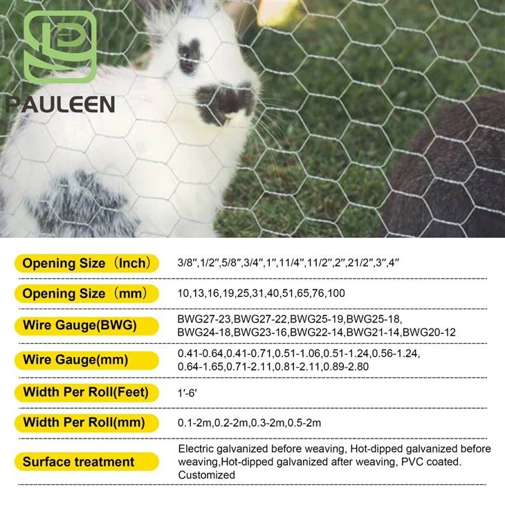 Hexagonal Wire Mesh Roll suppliers Hexagonal Wire Mesh Roll suppliers
