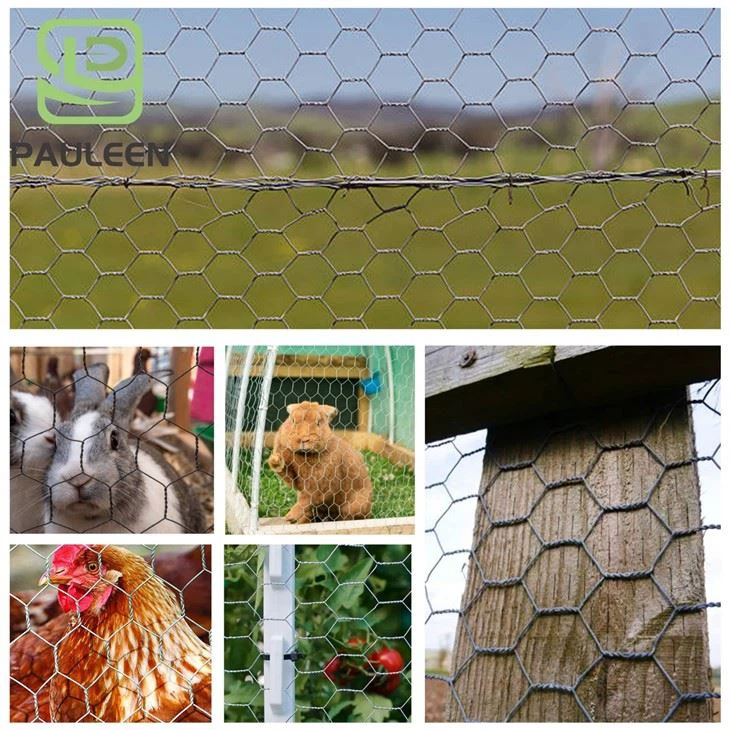 Hexagonal Wire Mesh Roll best Hexagonal Wire Mesh Roll best